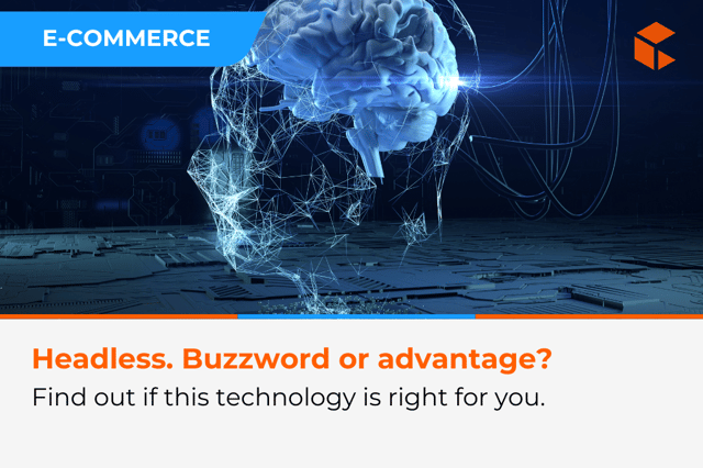 Headless Commerce – Buzzword or Real Competitive Advantage for Your Business?